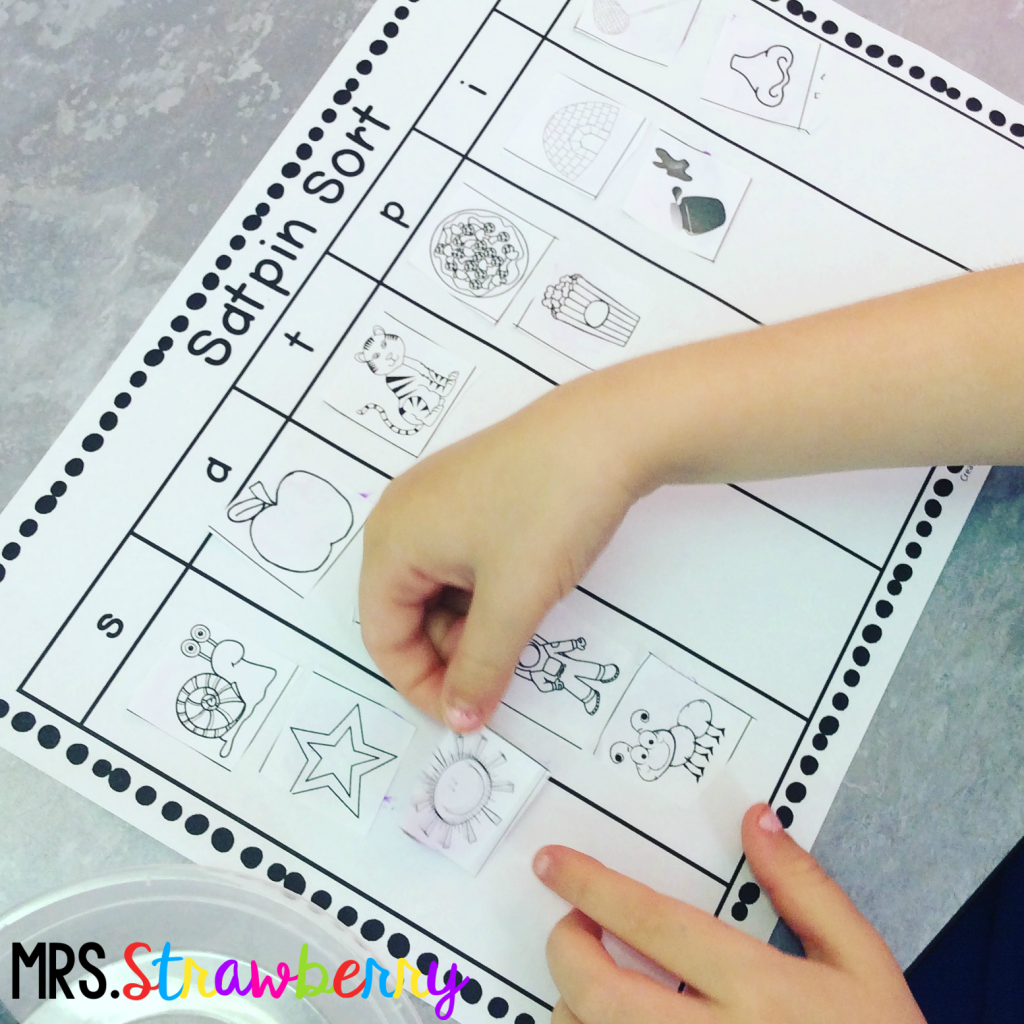 Click here for the SATPIN Picture Sort activity