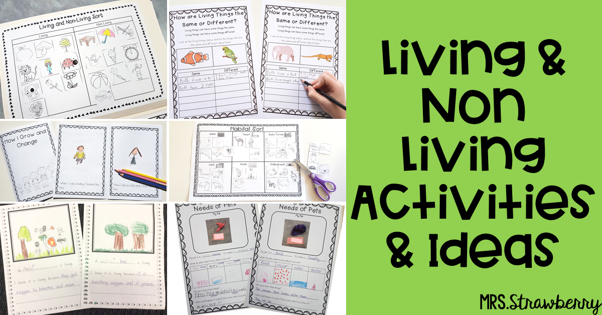 header "living and non living activities and ideas"