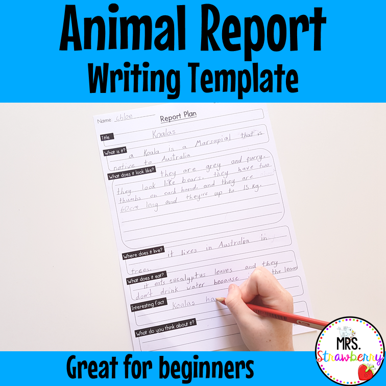 Animal Report Plan Writing Template