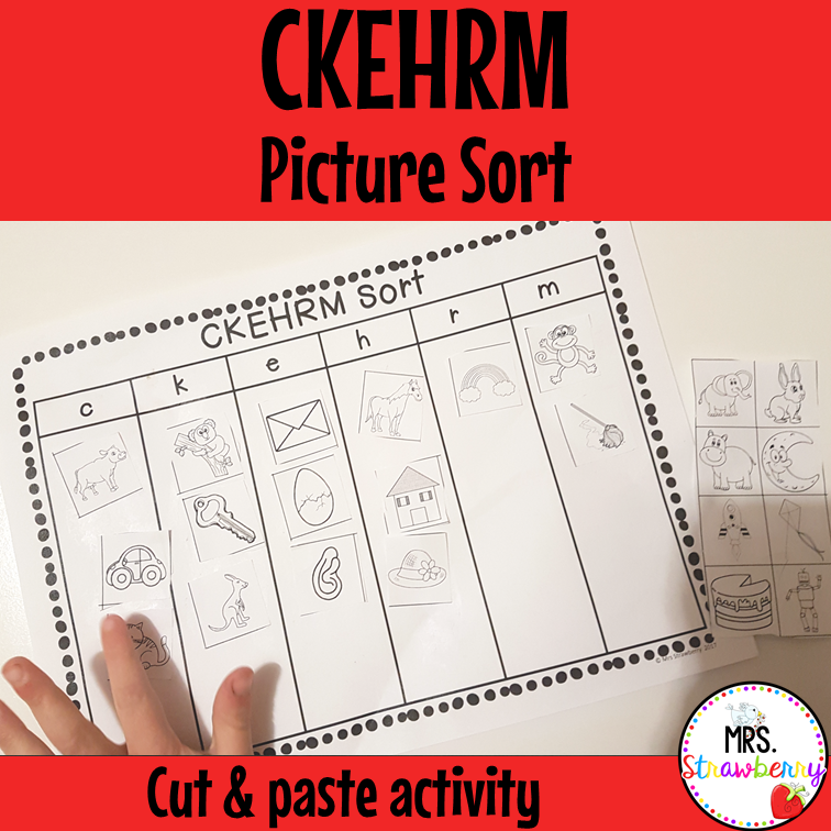 CKEHRM Picture Sort Activity