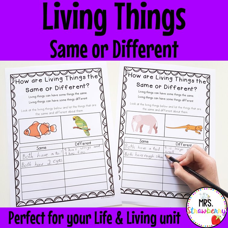 Living Things Worksheets Similarities and Differences