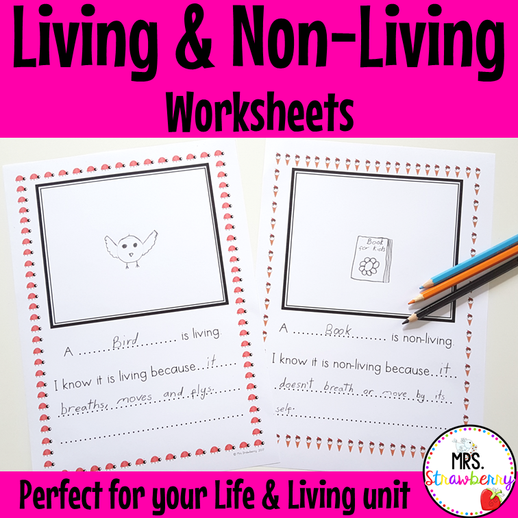 Living and Non Living Worksheets