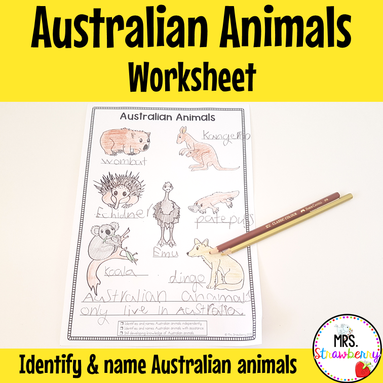 Australian Animals Worksheet