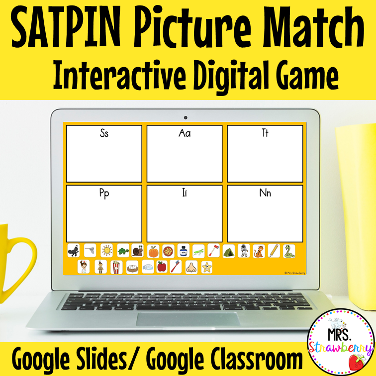 Digital SATPIN Picture Sort For Google Slides and Google Classroom