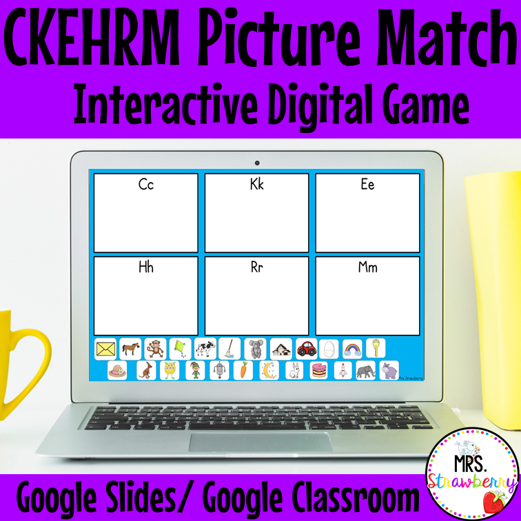 Digital CKEHRM Picture Sort For Google Slides and Google Classroom