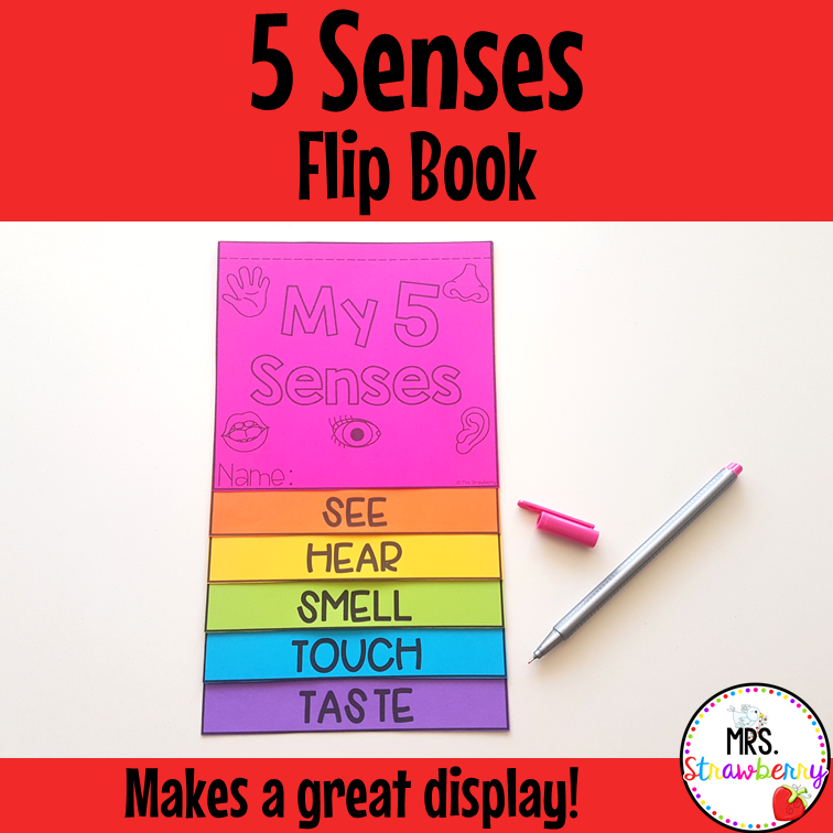 5 Senses Flip Book