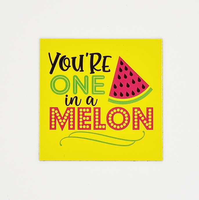 Student Magnet Gift: You're One in a Melon